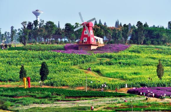 beat365亚洲体育官方网站