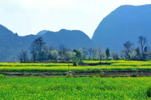 【beat365官网】国家邮政局:未来几天中西部地区末端网点投递压力较大(图3) beat·365