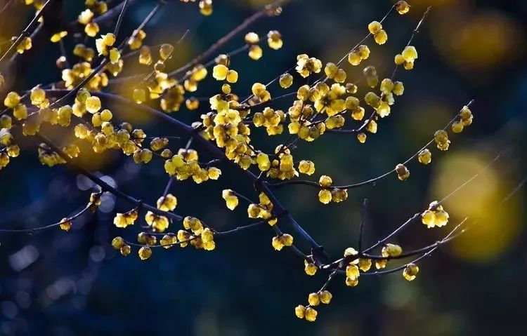 beat365亚洲体育官方网站_煤电联营又上演,专家声音很犀利!(图3) beat365亚洲体育官方网站