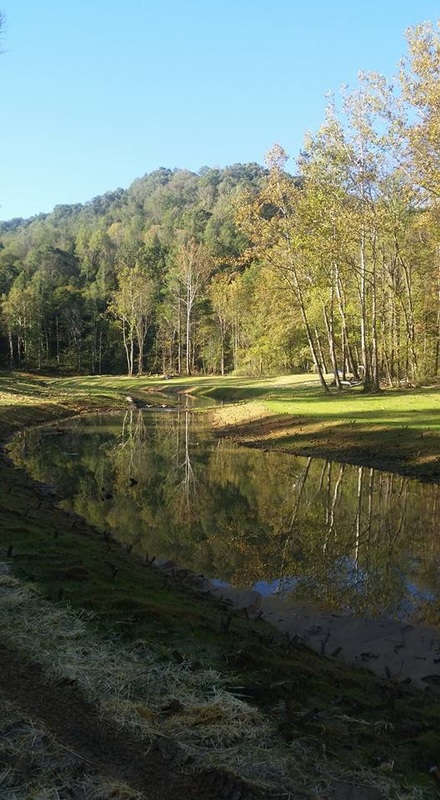 超低排放改造任务完成七成,煤电清洁改造进入收官阶段|beat365官网(图1) beat·365