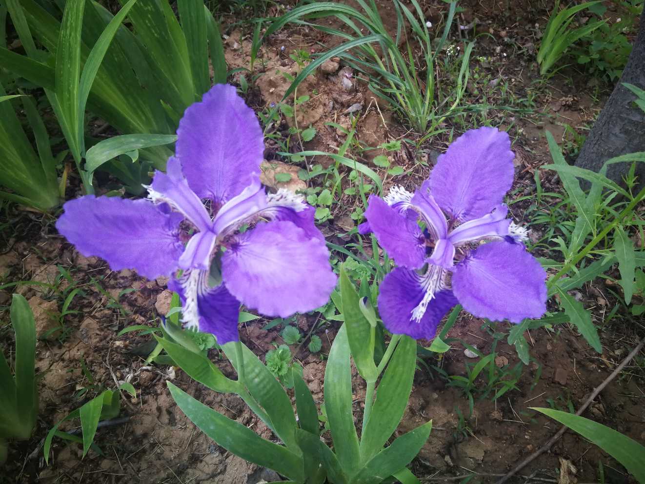 beat·365|风清气正过春节 生态环境部党风廉政建设领导小组印发廉政通知(图4) beat365官网