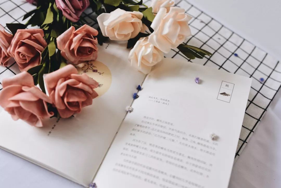 beat365亚洲体育官方网站