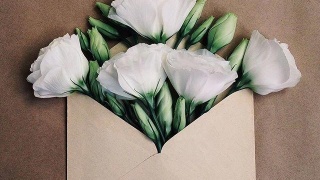 全国城市黑臭水体整治专项排查整改后首次“回头看”|beat·365(图4) beat·365