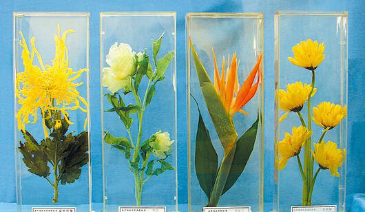 beat365亚洲体育官方网站