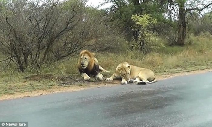 beat365亚洲体育官方网站