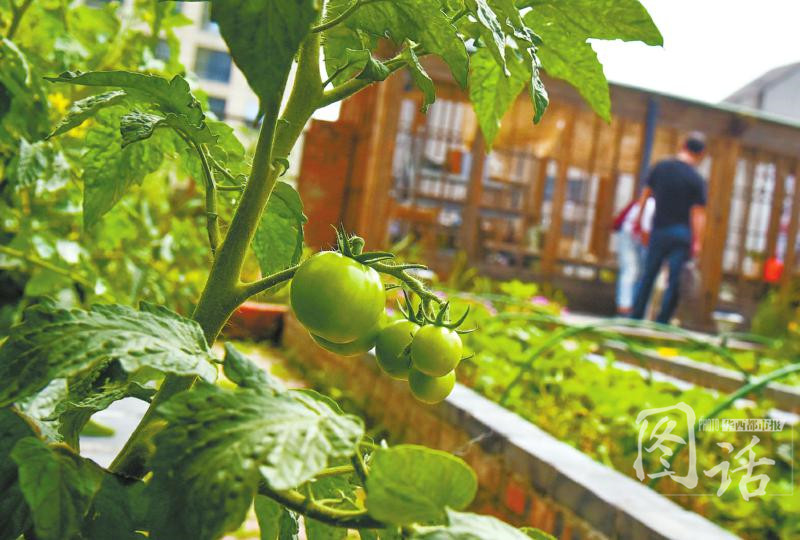 “beat365亚洲体育官方网站”限重31吨,是为治超还是要置“前四后八”于死地?(图1) beat365亚洲体育官方网站