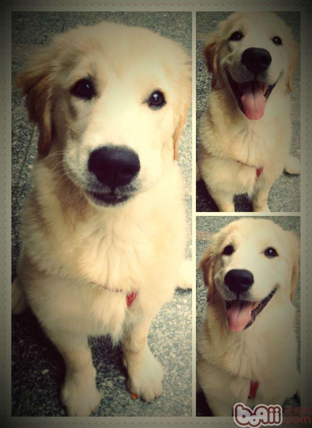 热门恐怖游戏续作《逃生2》港服中文版正式上架“beat365官网”(图3) beat365官网