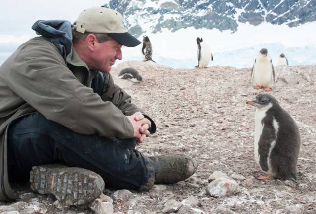 beat365亚洲体育官方网站|双十一消费多元化趋势明显顺丰以个性化服务应对挑战(图2) beat365亚洲体育官方网站