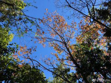 盘算机软件PLM行业专题分析陈诉“beat365亚洲体育官方网站”(图4) beat365官网