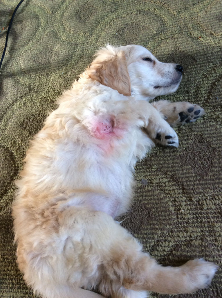 【beat365官网】THQ新作《生化变种》公布全新截图 展现末日世界(图3) beat365官网