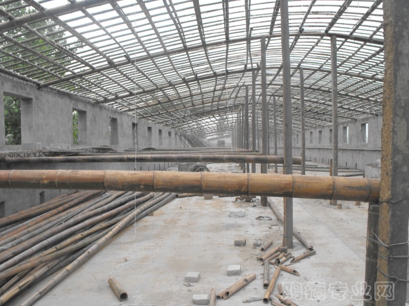 beat365官网_《动作游戏制作大师MV》新情报公开 今年夏季发售(图2) beat365亚洲体育官方网站