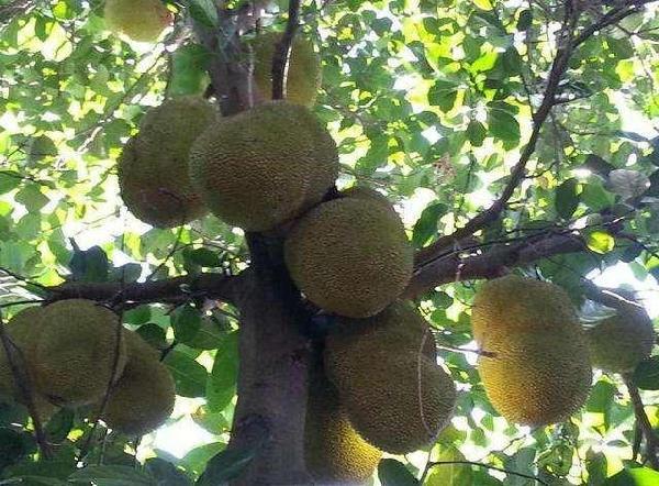 beat·365_我怎么管不住这手 Steam秋季和圣诞节特惠时间确定(图3) beat·365