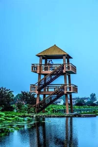 【beat·365】
新经济催生新职业 新时代召唤新人才(图3) beat·365