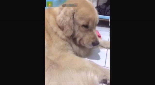 “beat365官网”挖掘你的天才潜能 《最强大脑》评测(图1) beat·365