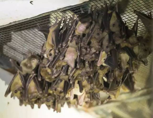 beat365亚洲体育官方网站