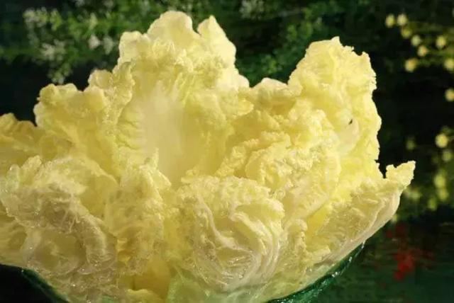 beat365亚洲体育官方网站