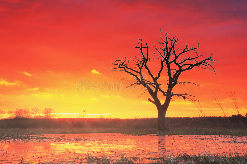 beat365亚洲体育官方网站