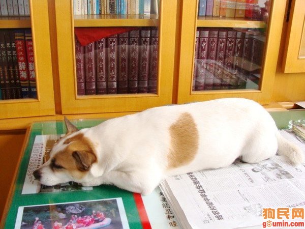 beat365亚洲体育官方网站:GOG开启故事情节类促销 《暴君》42元、巫师3半价(图1) beat·365