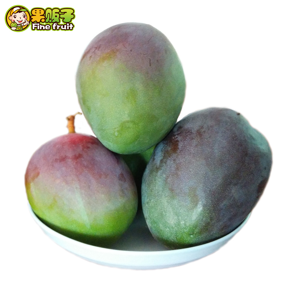 ‘beat365官网’西方的审美?欧美《真三国无双》角色人气投票准决赛结果(图1) beat365官网