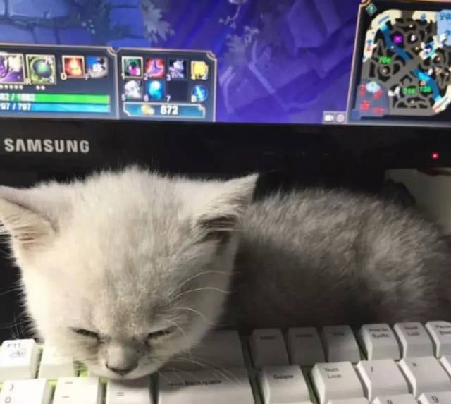 语文老师熬夜整理:满分作文开头、末端大全“beat365官网”(图4) beat·365