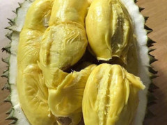 “beat365官网”快递业快速发展 从业人员素质需提高(图1) beat365官网