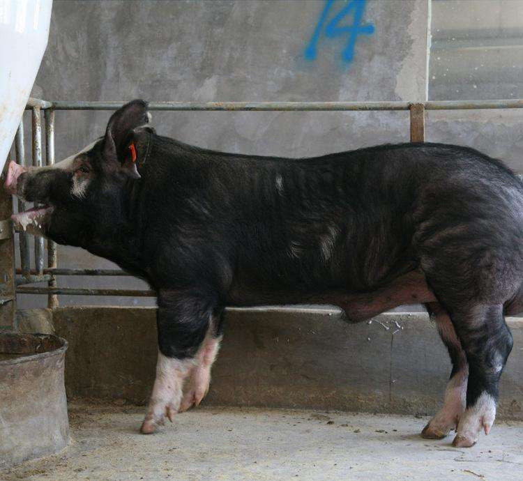 beat365官网|智利总统宣布联合国气候变化大会将在马德里举行(图1) beat365官网