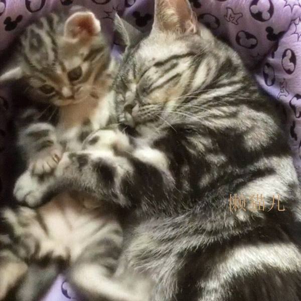 华纳发布招聘 或将开发《哈利波特》游戏新作【beat·365】(图2) beat365官网