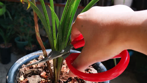 ‘beat365亚洲体育官方网站’菜鸟电子面单获中国邮政行业最高科技奖(图2) beat365官网