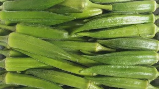 beat365亚洲体育官方网站:
部编人教版语文九年级下册第一单元教学筹谋及单元测试(图2) beat·365