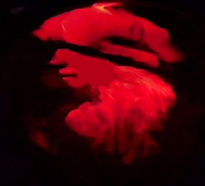 beat365官网:物流业整体突破信息化仍是短板(图1) beat·365