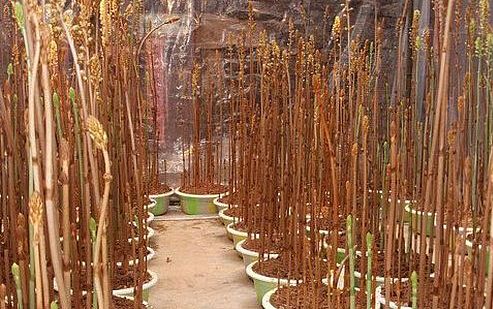 【beat·365】产业链压力山大,风电整机价格回调或成定局(图4) beat365官网