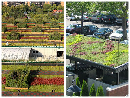 beat365亚洲体育官方网站